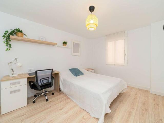 5 Dormitorio Shared Living/Roommate Alicante Alicante 104846175