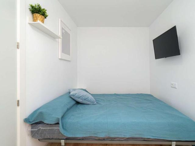 5 Dormitorio Shared Living/Roommate Alicante Alicante 104846209