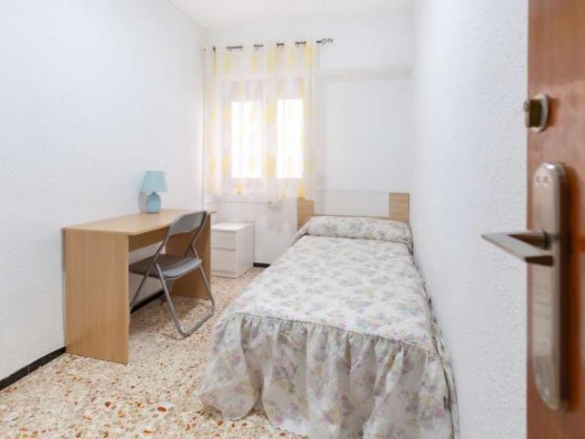 5 Dormitorio Shared Living/Roommate Alicante Alicante 91985217