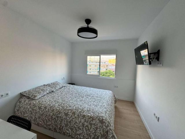 5 Dormitorio Shared Living/Roommate Alicante Alicante 92078136