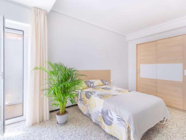5 Dormitorio Shared Living/Roommate Alicante Alicante 92151068