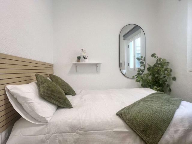 5 Dormitorio Shared Living/Roommate Granada Granada 85861642