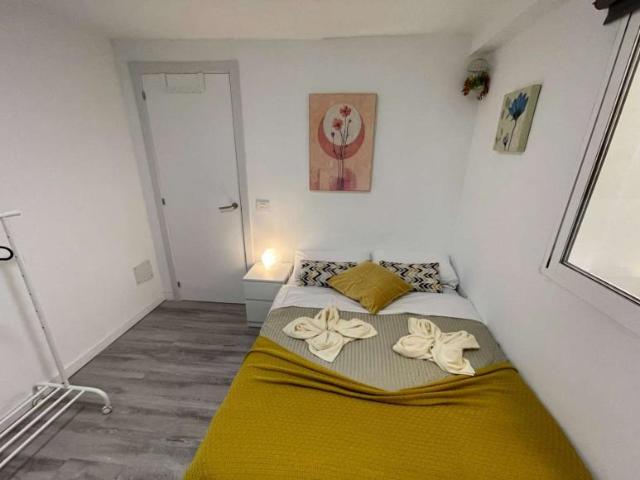 5 Dormitorio Shared Living/Roommate Las Palmas De Gran Canaria Las Palmas De Gran Canaria 103414487