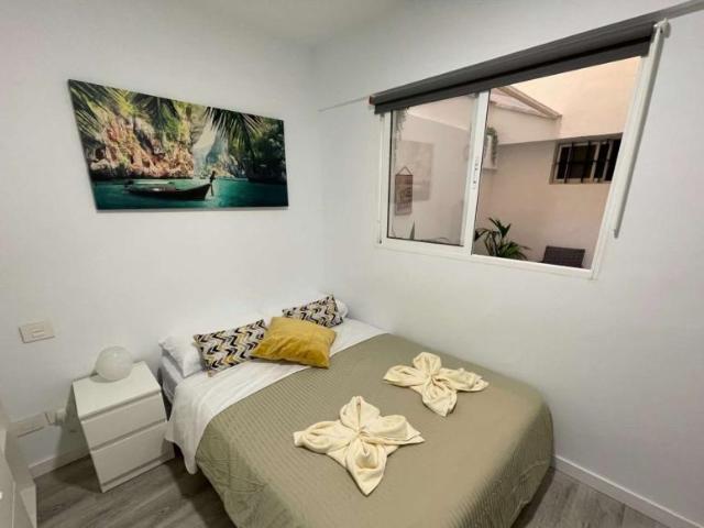 5 Dormitorio Shared Living/Roommate Las Palmas De Gran Canaria Las Palmas De Gran Canaria 103414485