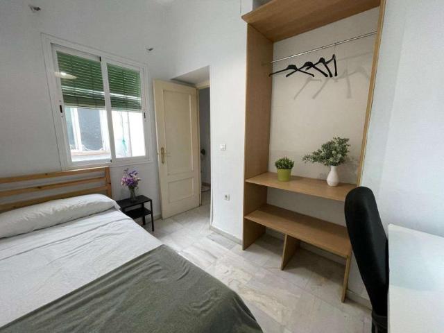 5 Dormitorio Shared Living/Roommate Seville Seville 95714284