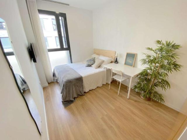 5 Dormitorio Shared Living/Roommate Seville Seville 100813479