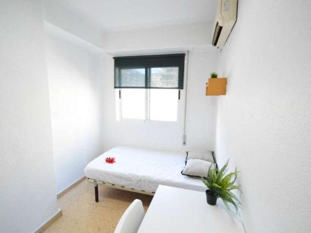 5 Dormitorio Shared Living/Roommate Valencia Valencia 101737904