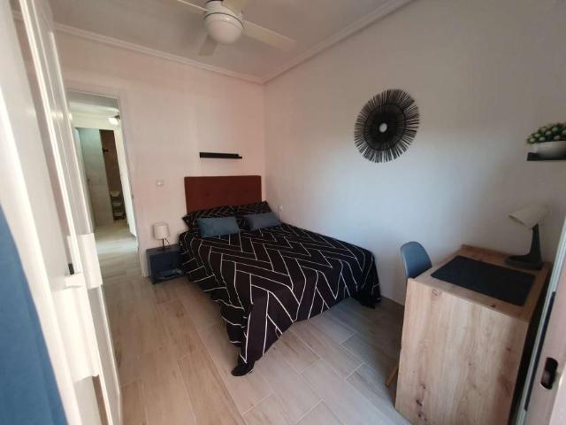 5 Dormitorio Shared Living/Roommate Valencia Valencia 101817416