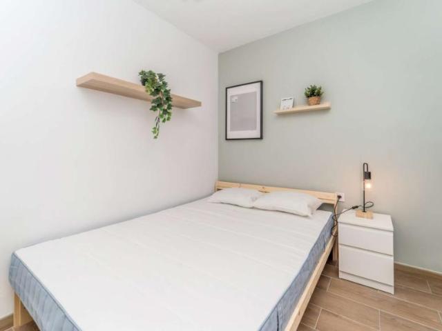5 Dormitorio Shared Living/Roommate Valladolid Valladolid 104846029