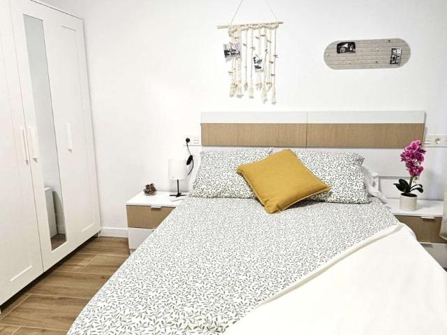 5 Dormitorio Shared Living/Roommate Zaragoza Zaragoza 96617627