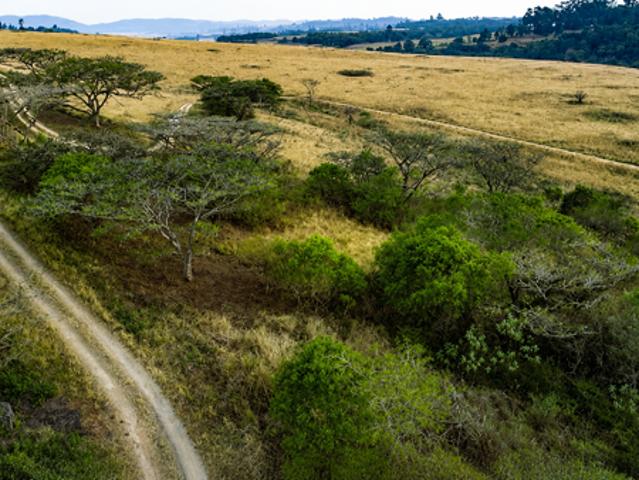 5 ha Land available in Hilton Outlying