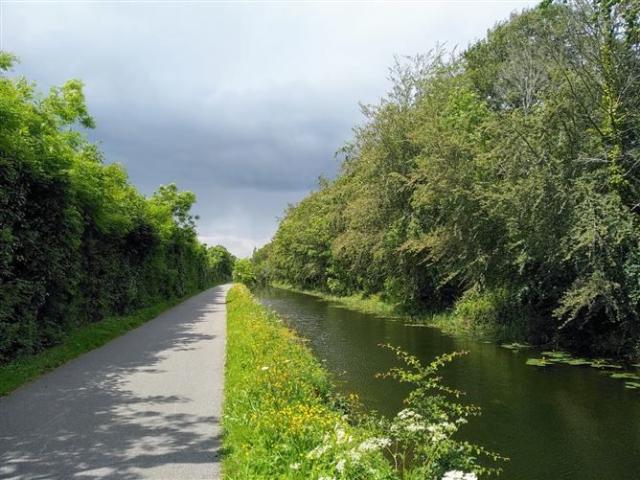 5 Hamilton Way, Royal Canal Park, Ashtown, Dublin 15, D15VYN2, D15VYN2