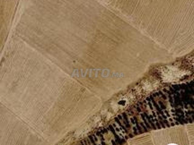 5 hectares de terrain agricole conservé à vendre
