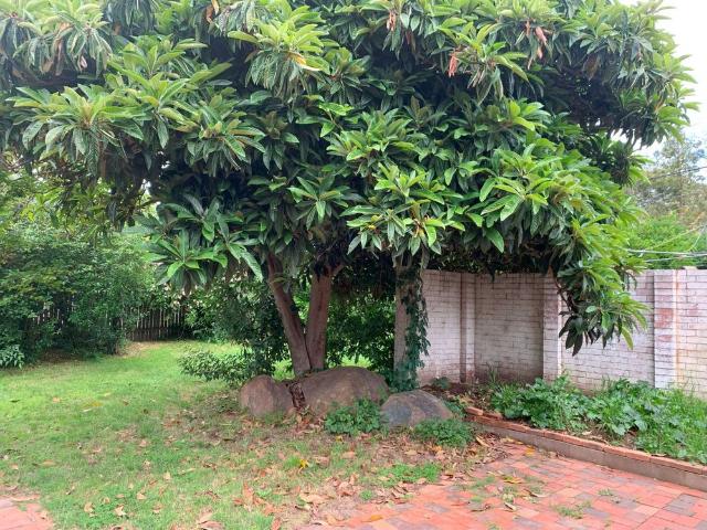 5 Jansz Crescent, Griffith