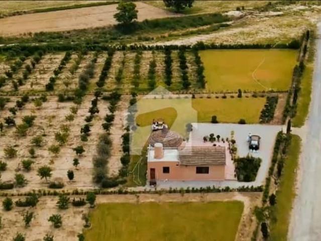 5 Kanal Orchard Farm House For Sale