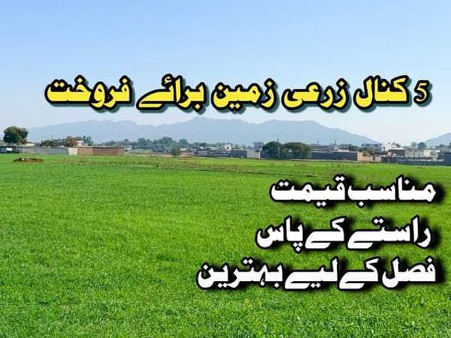5 kanal agricultural land for sale in Pakistan | Clasf real estate