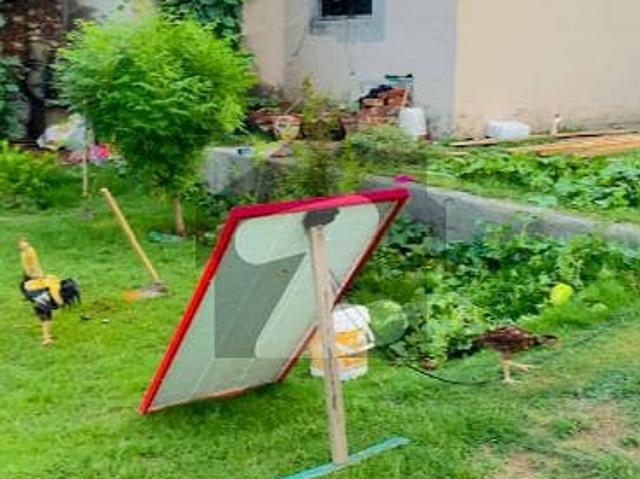 5 Kanal Farmhouse for Sale Prime Location on Thethar Bedian Road