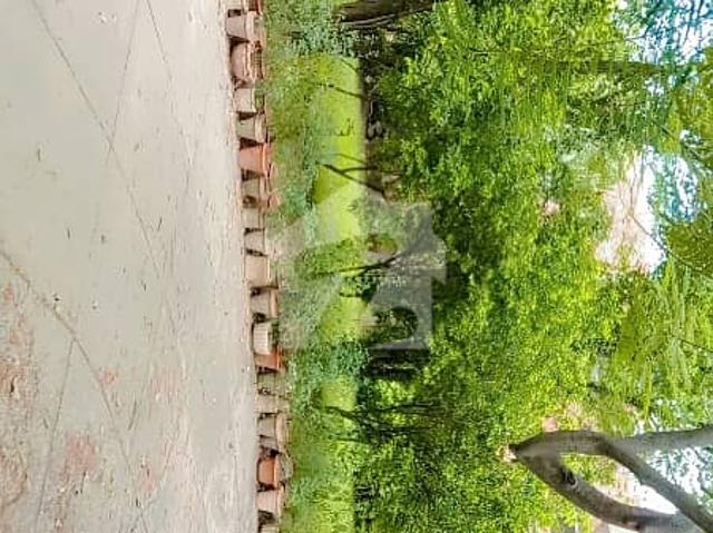 5 kanal house for sale in cantt