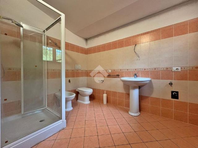 5 locali in affitto
