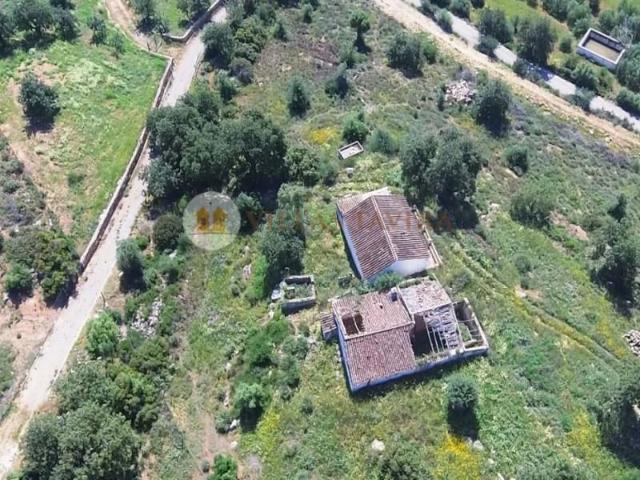 5 quarto, Tavira Tavira LS99138026