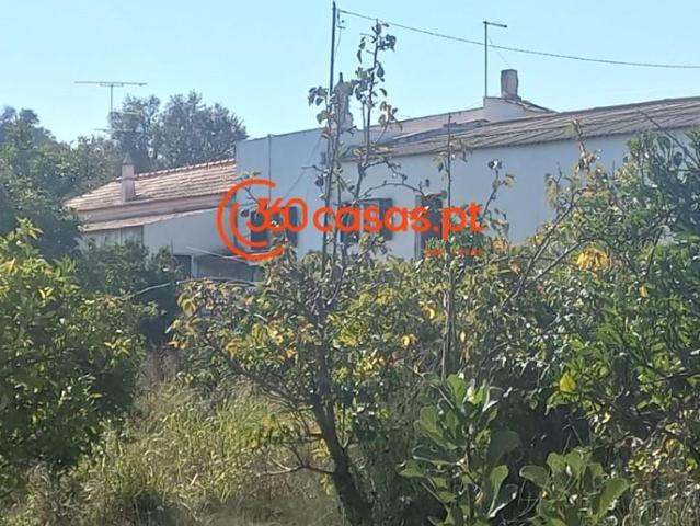 5 quarto, Tavira Tavira 102268459