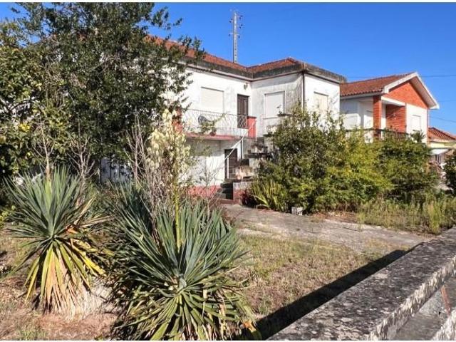 5 quarto, Vagos Vagos 102452479