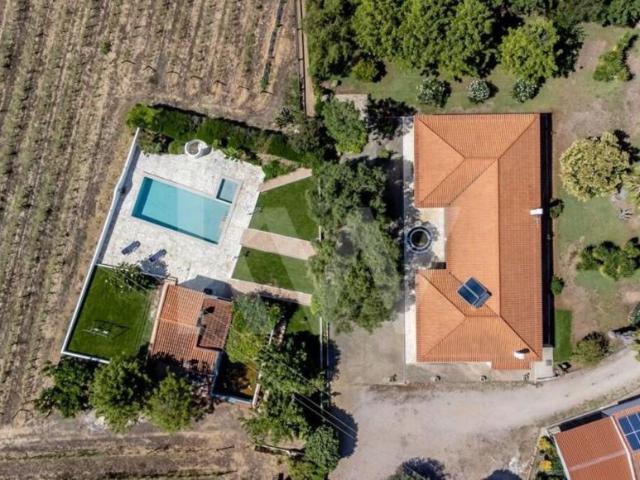 5 quarto, Vidigueira Beja 79782828