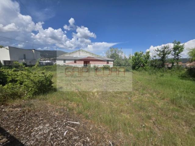 5 quarto, Vila Pouca de Aguiar Vila Pouca de Aguiar 101795509