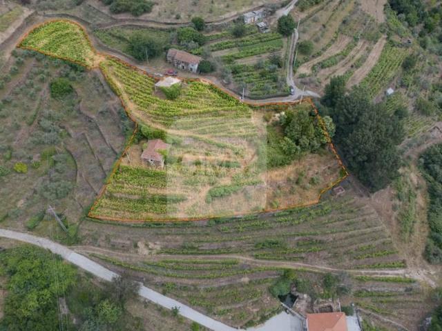 5 quarto, Vila Real Vila Real 103157758