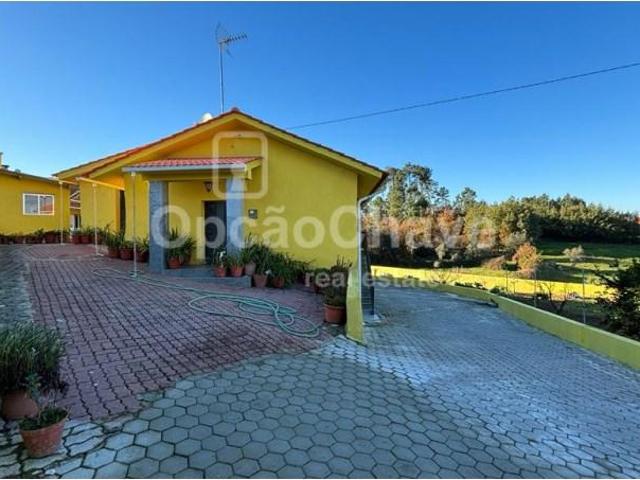 5 quarto, Viseu Viseu LS100269005