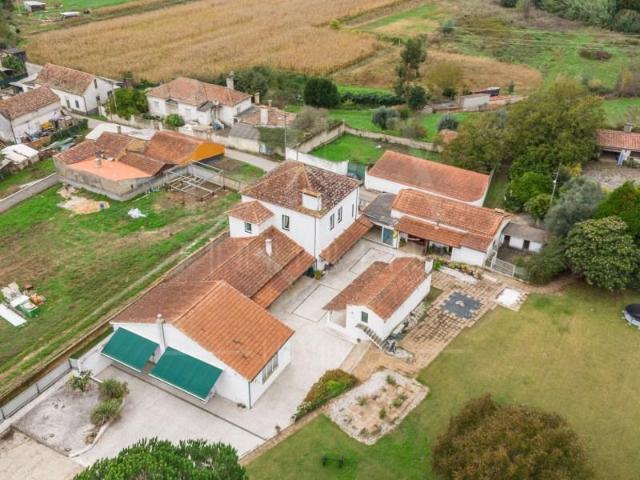 5 quarto, Águeda Águeda 96495952
