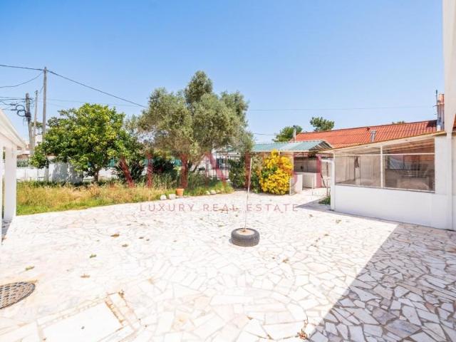 5 quarto, Almada Almada 98017583