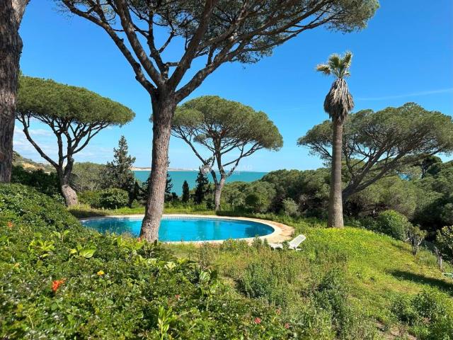 5 quarto, Albufeira Algarve 89300867