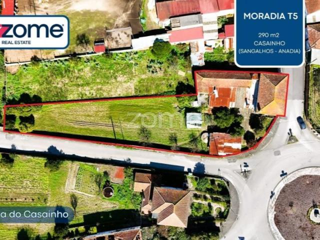 5 quarto, Anadia Anadia 100845570