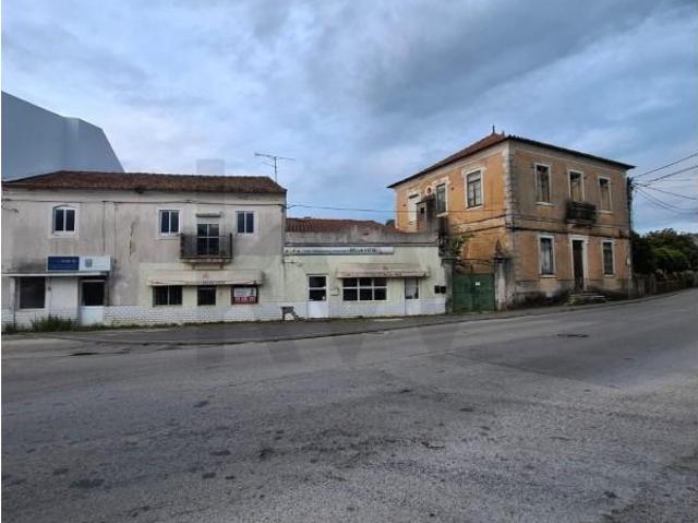 5 quarto, Anadia Anadia 102558538