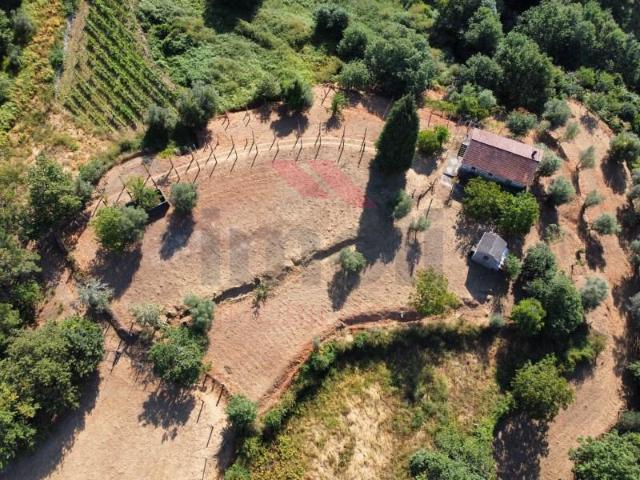 5 quarto, Arcos de Valdevez Arcos de Valdevez 102270630