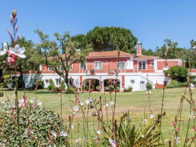 5 quarto, Benavente Santarém 103372701