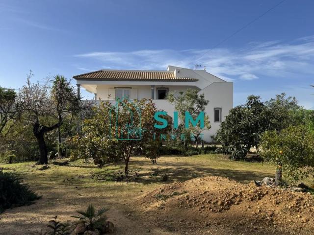 5 quarto, Faro Olhão 8700 98704252