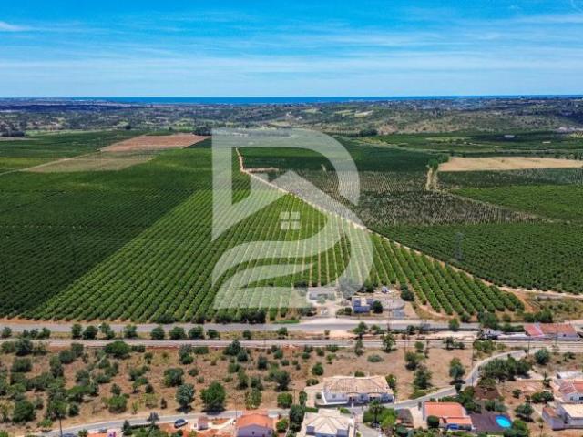 5 quarto, Faro Silves 8365 100331446