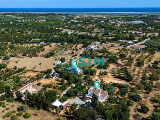 5 quarto, Faro Tavira 8800 LS98704245