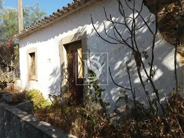 5 quarto, Faro Tavira 103541048