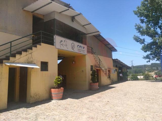 5 quarto, Guimarães Guimarães 4800 177 104609438
