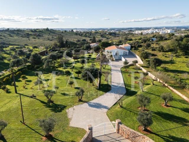 5 quarto, Lagoa Lagoa 8400 010 92386508