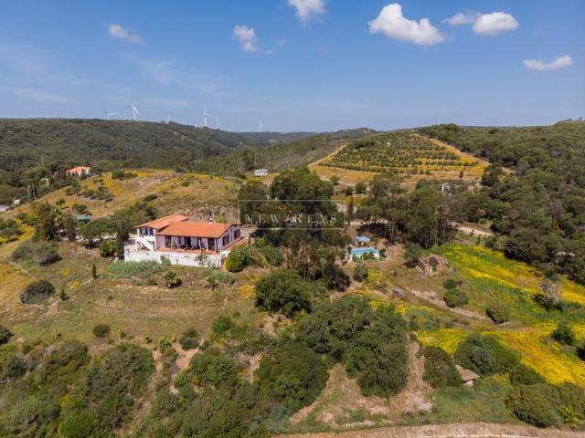 5 quarto, Lagos Algarve 102640592