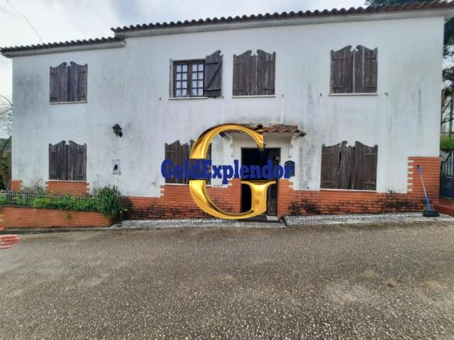 5 quarto, Leiria Pombal 3100 102306518