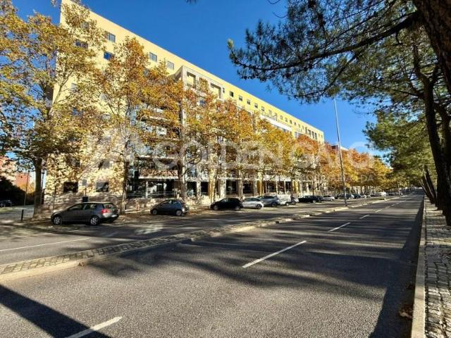 5 quarto, Lisboa Lisboa 96714240
