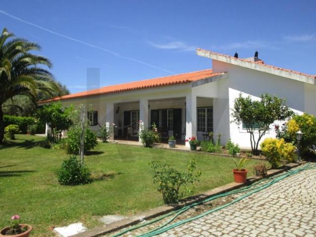 5 quarto, Macedo de Cavaleiros Macedo de Cavaleiros 102921646