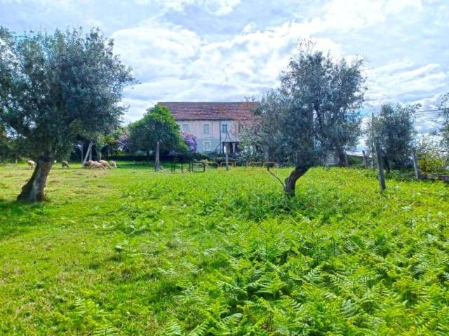 5 quarto, Marco de Canaveses Marco de Canaveses 102688443
