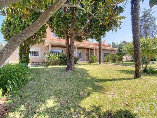 5 quarto, Pombal Leiria 100263794