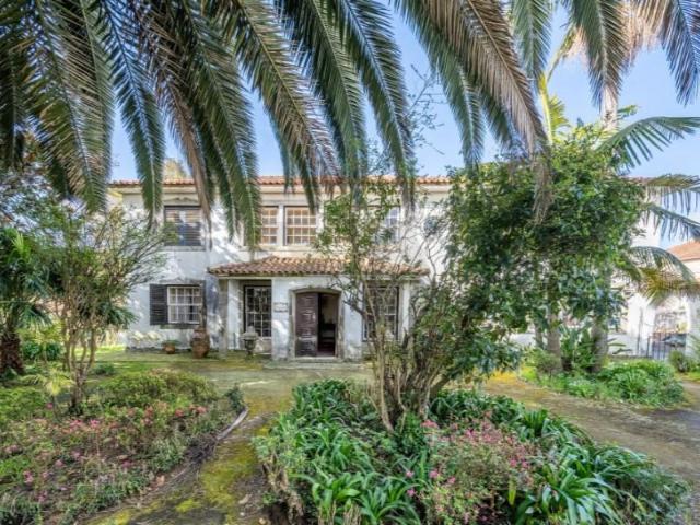 5 quarto, São João da Madeira São João da Madeira 99730688